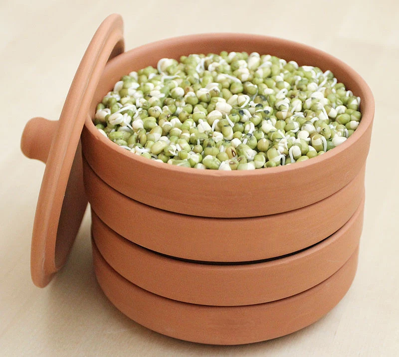 2024 Sprouting Ceramic Tray Ceramic Seed Sprouting Tray Clay Sprouting Pot Terracotta Clay Sprouter For Grain And Seeds