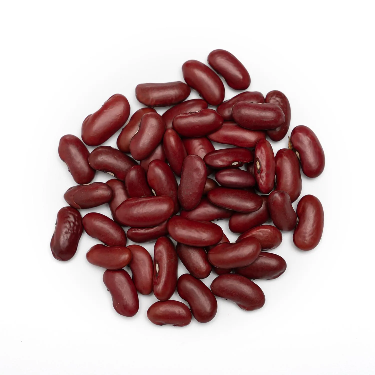 New Organic Purple Dark Red Kidney Beans