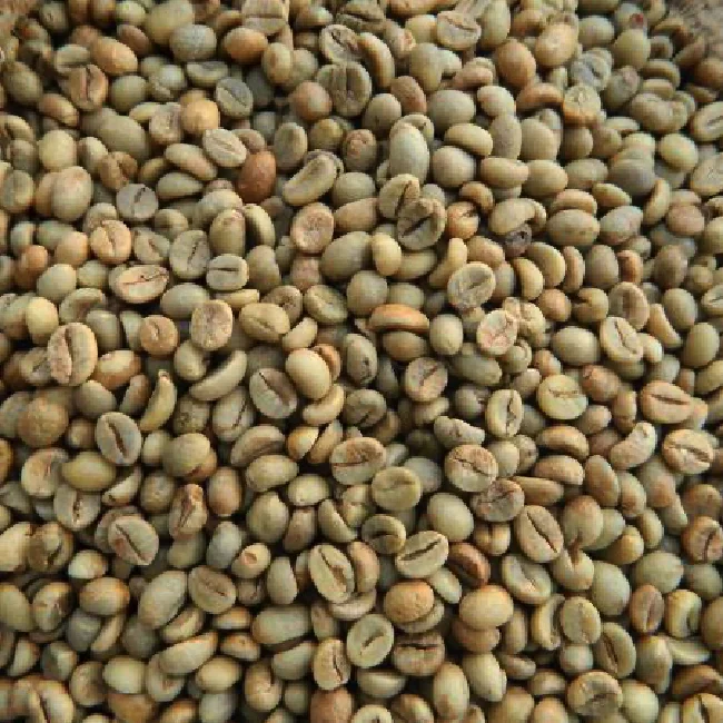 New Crop Harvest Organic Cultivation Type Grade 1 Natural Processing Type Robusta Screen 14 Coffee From Vietnam