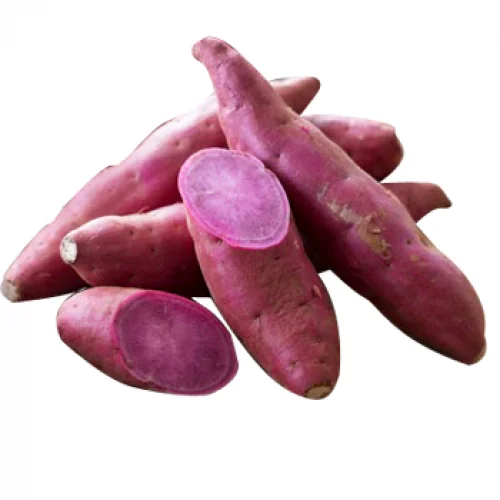 High Quality Cheap Price Fresh Sweet Potatoes Fresh Purple Sweet Potato Factory from Vietnam