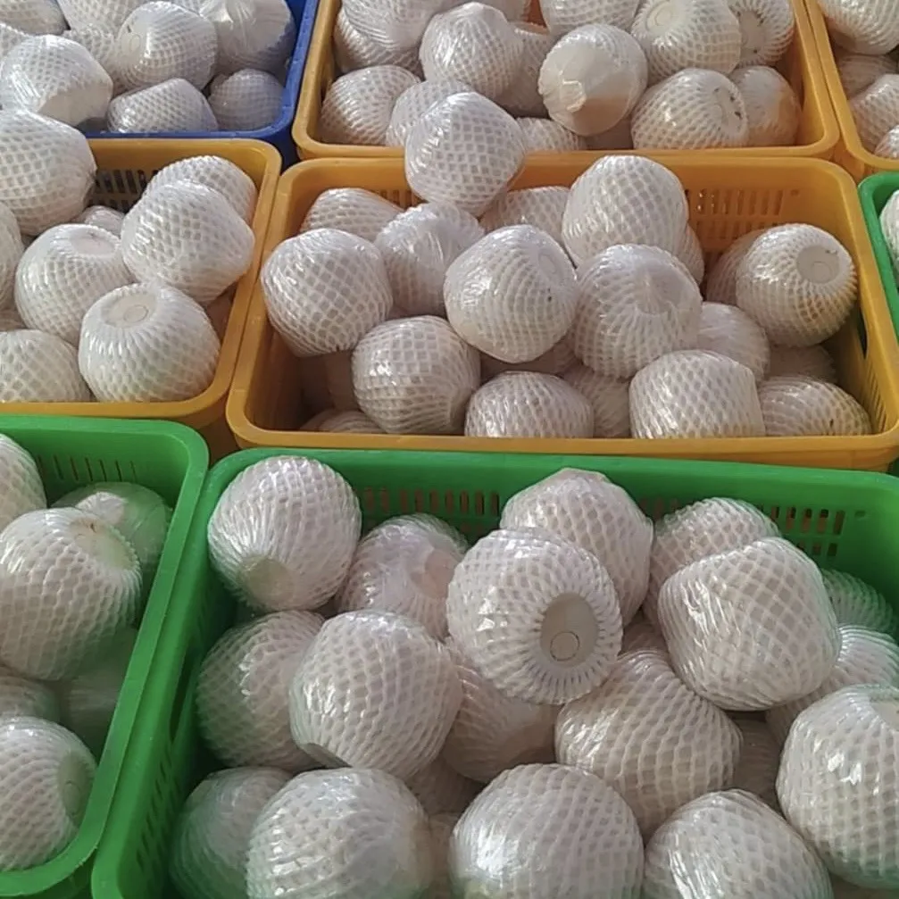 Wholesale High Quality Cheap Price FRESH YOUNG COCONUT From Viet Nam