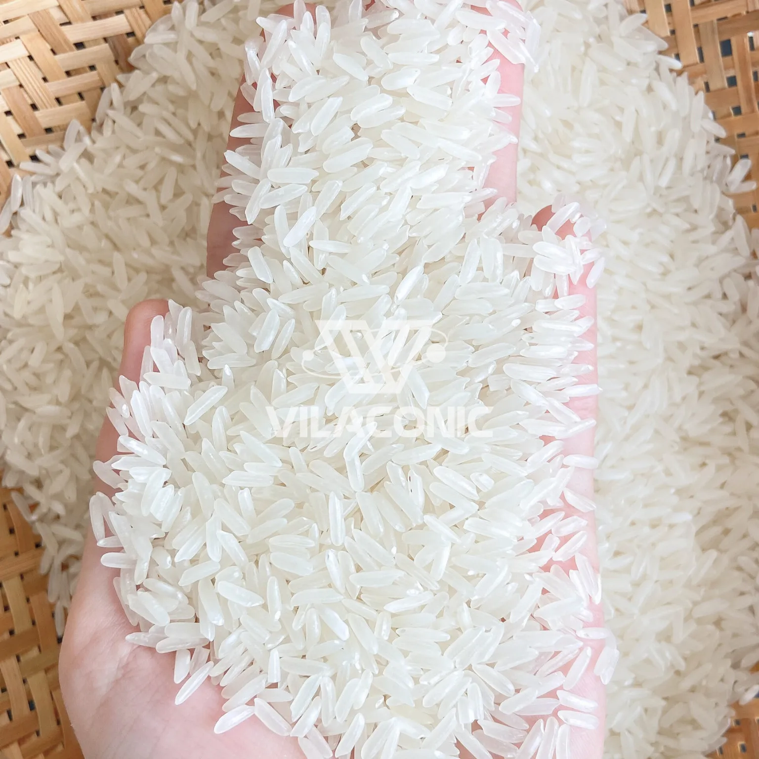Wholesale Long Gain Aromatic Jasmine Rice - Super Jasmine Rice From Jasmine Rice 5% Broken (BEST SELECTED QUALITY)