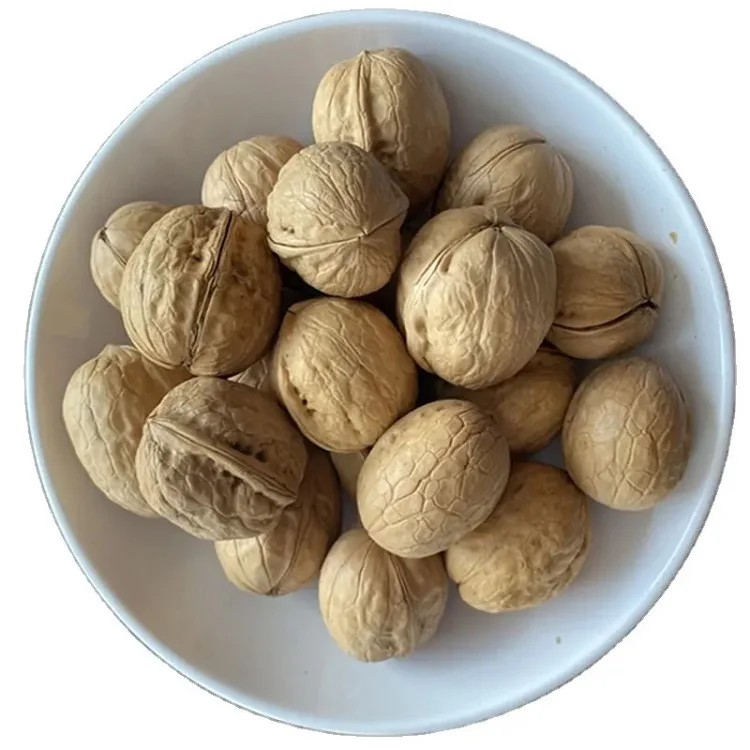Wholesale Healthy Delicious 100% Organic Best Quality Export Walnut Best Price Raw Dry Fruits Washed Walnuts