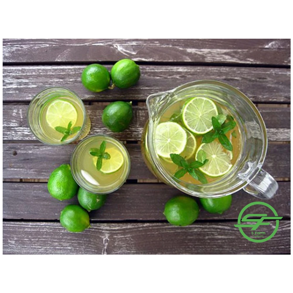 Fresh Lime / Lemon Seedless / lime Seedless for export in bulk