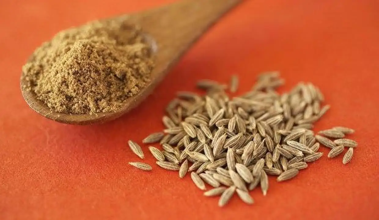 High Quality Cumin and Free Gifted Storage Box Container OEM Spices Powdered Ground or Seeds