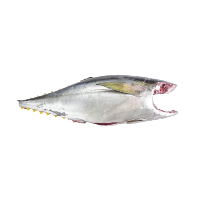 Премиум продукт объемный дистрибьютор из тунца хит продаж новое поступление