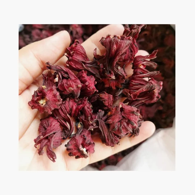 HERBAL TEA FROM DRIED FLOWERS - HIBISCUS FLOWER FROM DIRECT SUPPLIER WITH HIGH QUALITY