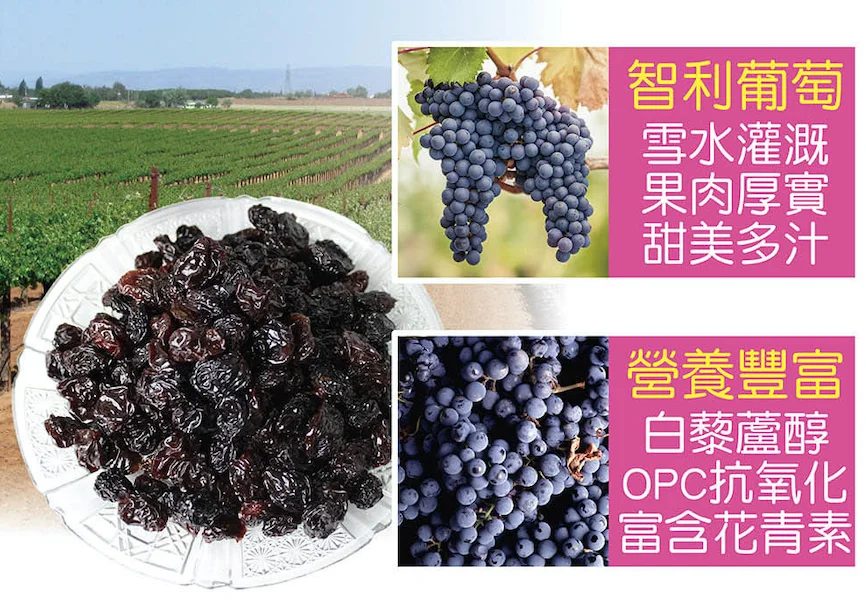 Raisin Natural Dry Fruit Andes mountain Bulk Black Raisins