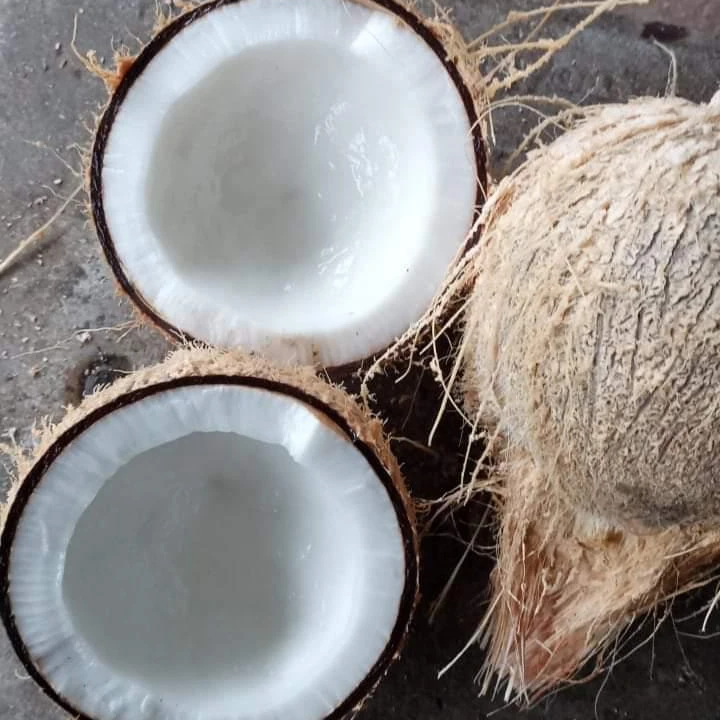 100% г., провинция Бен-три, оригинальный зрелый кокосовый полностью очищенный кокос, новый урожай 2023