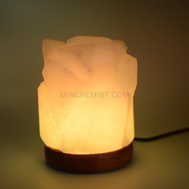 Himalayan Natural Salt Rock USB Night Light Pink Crystal Salt Lamp Use Cord Color Changing Himalayan Salt Lamp