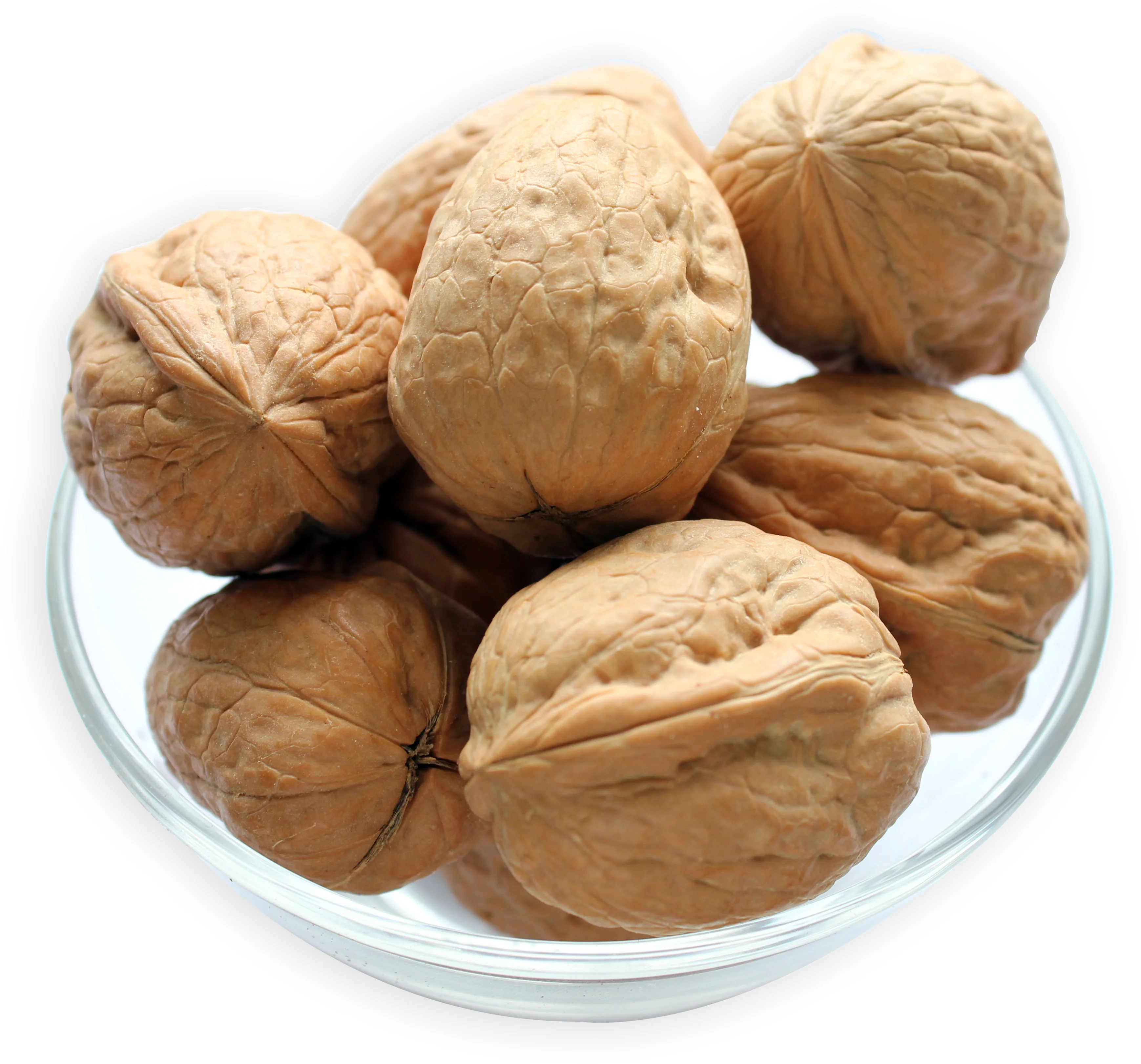 Best quality walnuts ready for good wholesale price