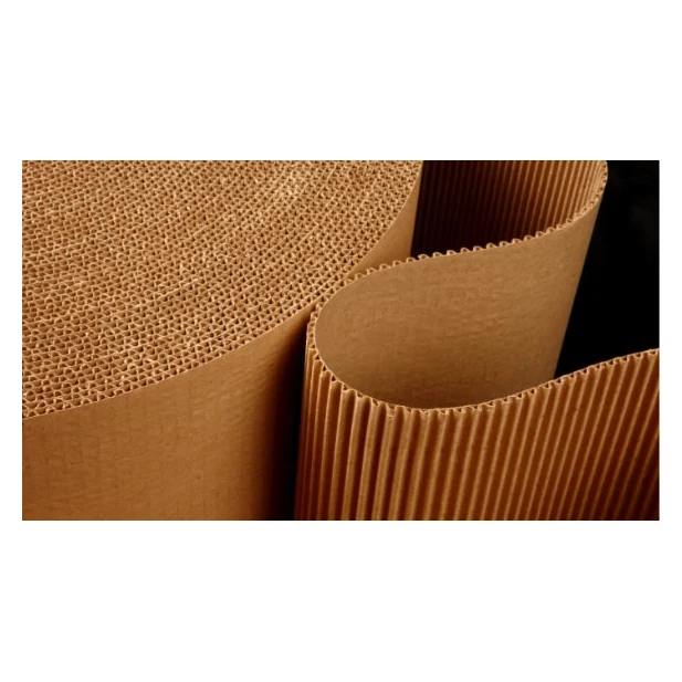 High Quality 140gsm 200gsm Uncoated/Coated White Test Liner Paper Board White Top Kraft Liner Test Liner Uncoated Paper Ribbed p