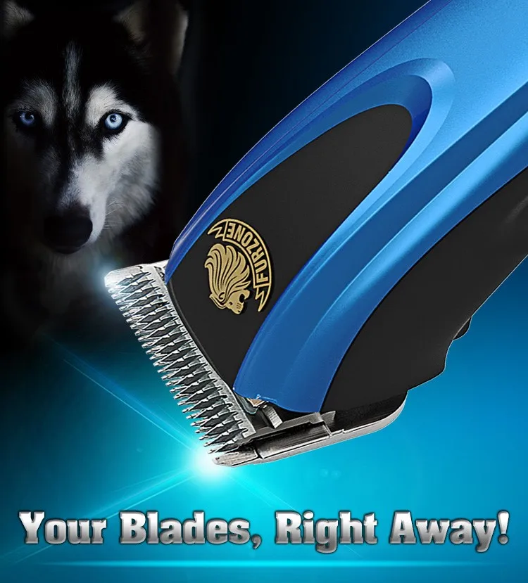 Your baldes.jpg
