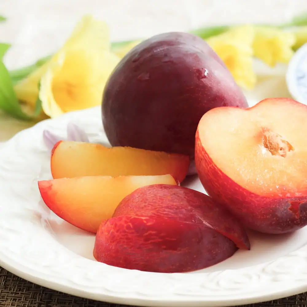 Fresh Kiyo plum pack bulk Japanese plum