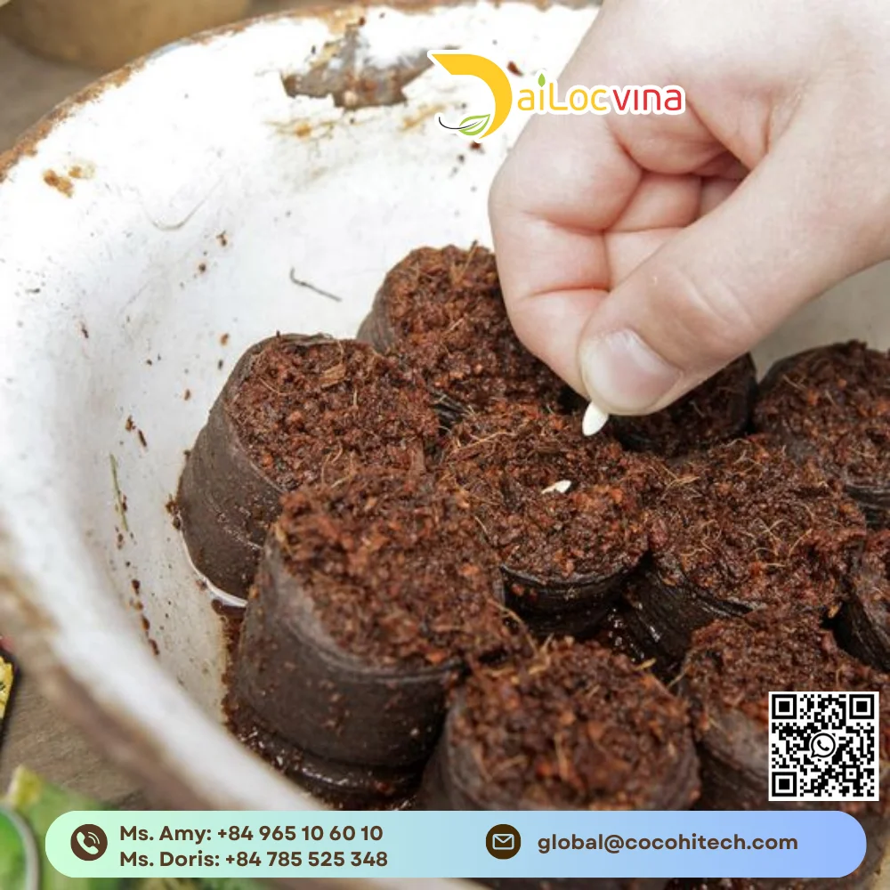 Кокосовый торф цена-кокосовый торфяный блок-закваска