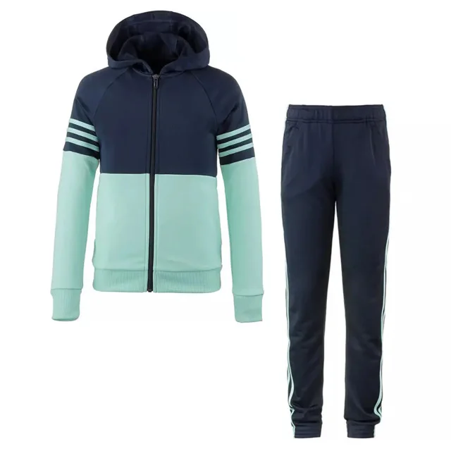 Customized Logo Design Embroidery Printed Casual Blank 100%Cotton Winter Wear Cheap Price Two Piece Hoodie and Trousers Sets