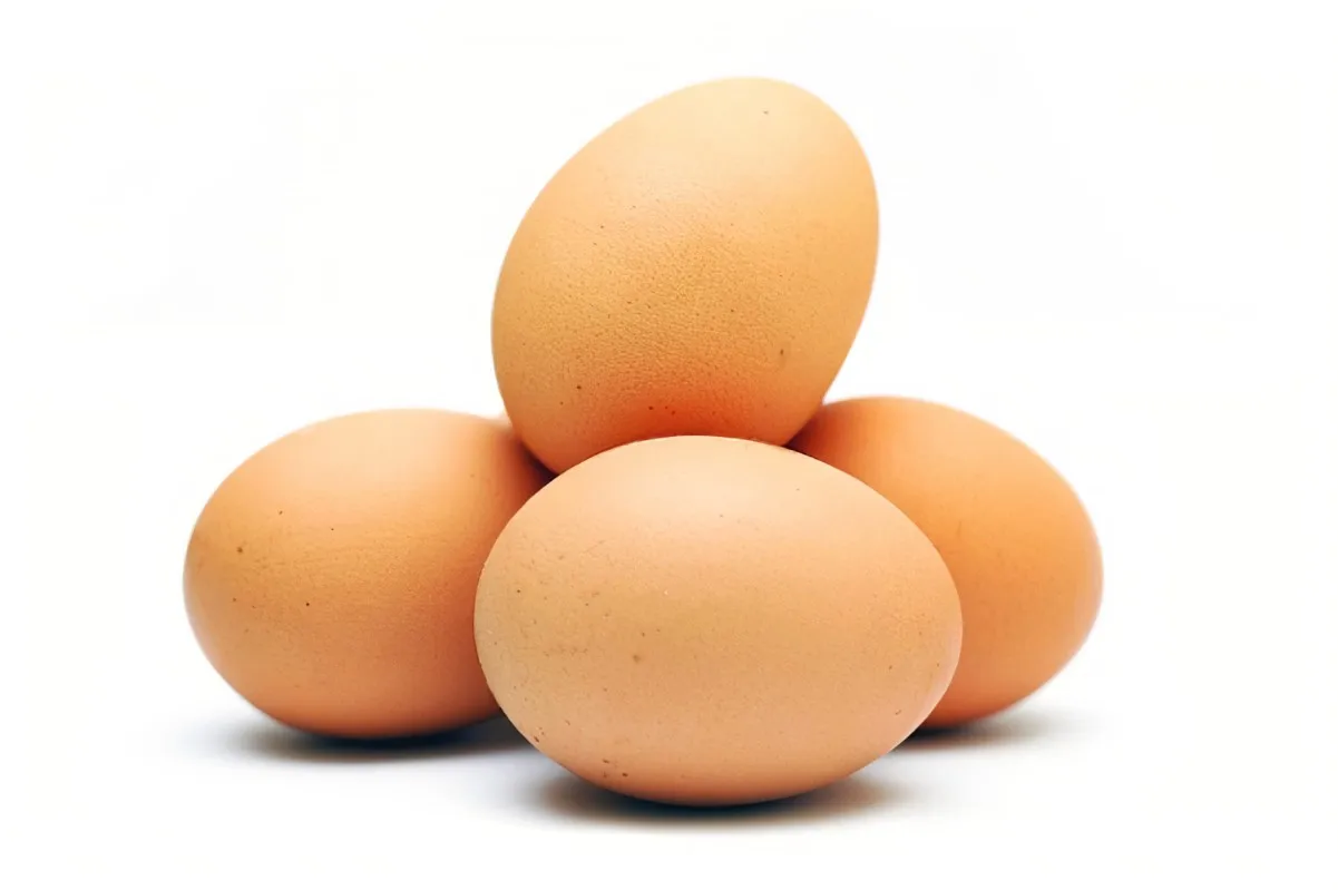 Cobb 700 CObb 500 and Ross 308 Broiler Hatching eggs / Best Quality Organic Fresh Chicken Eggs