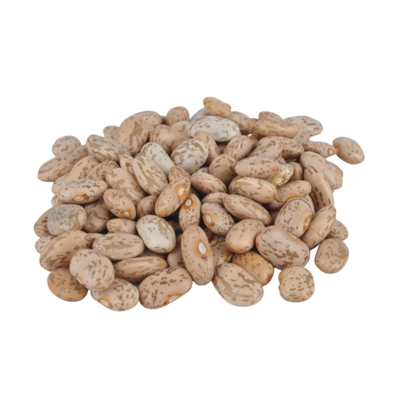 Wholesale Price Light Speckled Kidney Beans Factory Manufacture Dry Pinto Kidney Bean