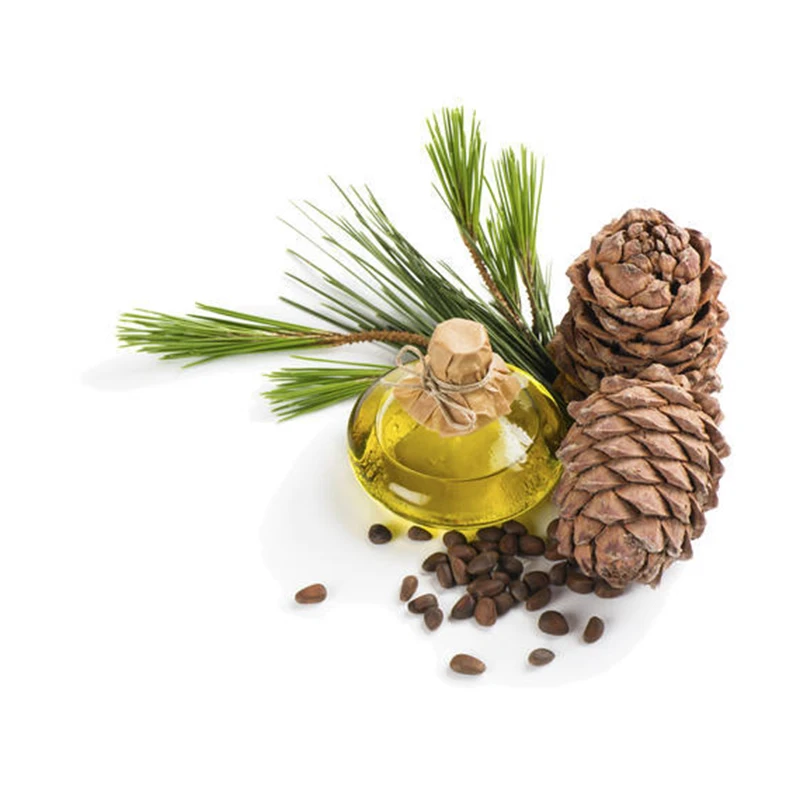 100% чистое органическое масло из атласа кедрового дерева купить Cedrus atlantica WoodOil лучшее качество дистиллированные эфирные масла чистые и натуральные