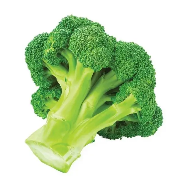 Wholesale Cheap Price Frozen Vegetable Direct Factory Broccoli Fresh Place Model Maturity Cultivation Broccoli From Bangladesh