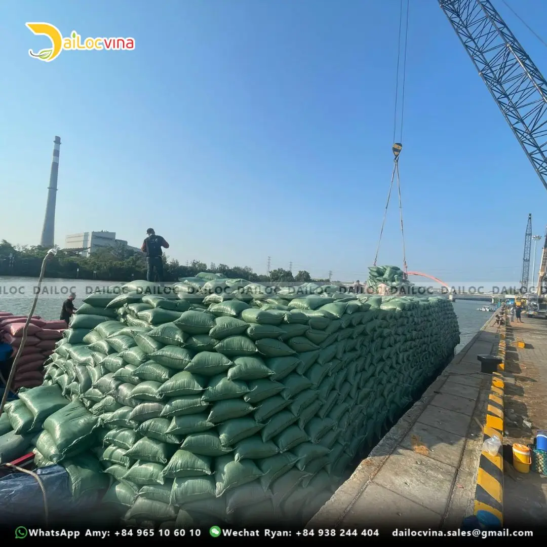 HIGH QUALITY ROUND COCO COIR PEAT FOR PLANTING GARDENING MODERN POTTING SOIL SUBSTRATE OFFICE SPACE MADE COCO FIBER