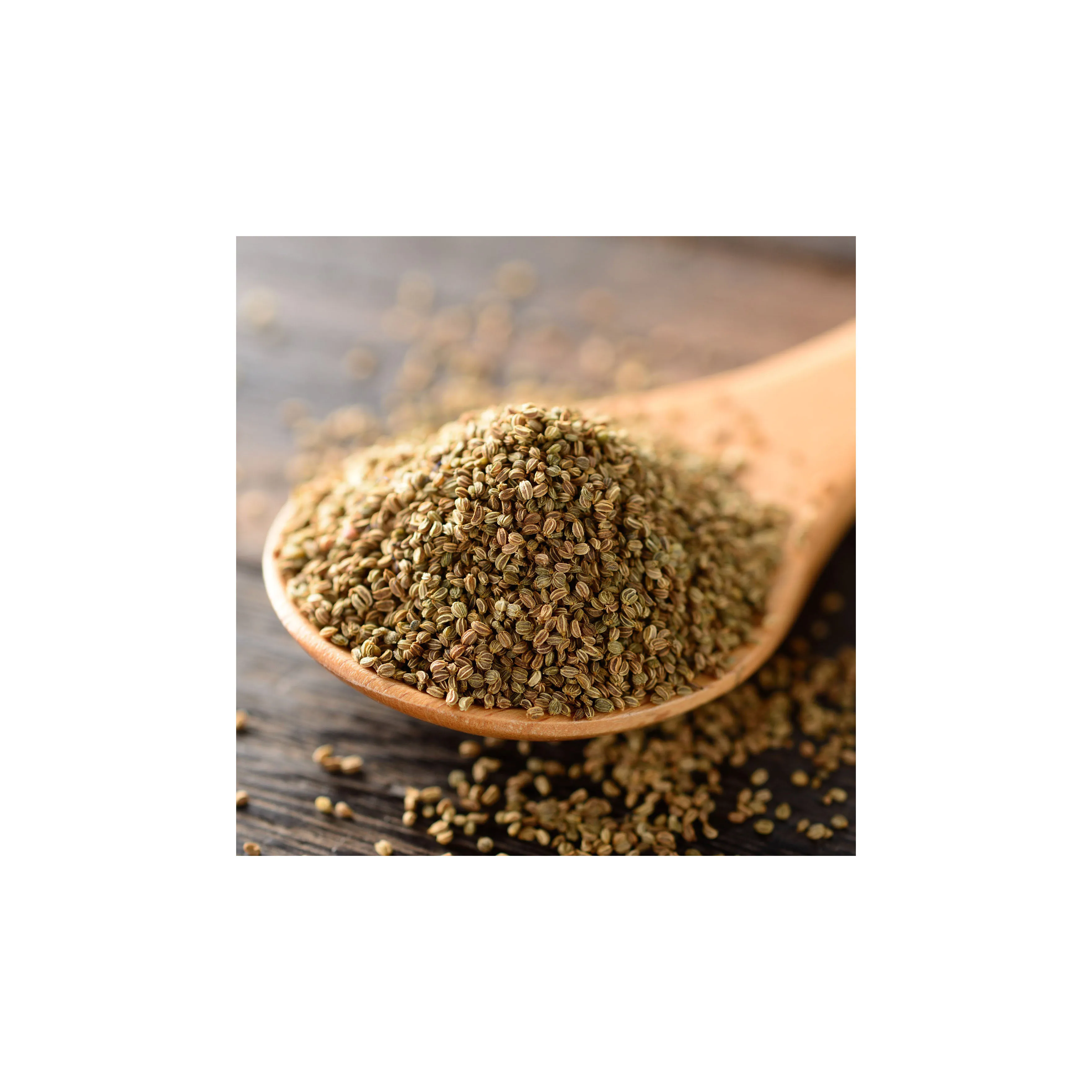Factory Supply Hot Sale Good Dried Celery Seeds