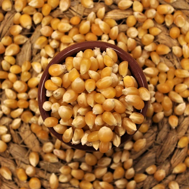 High Quality First Class Wholesale Popcorn