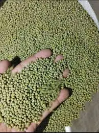 Whole Green Mung Beans from Viet Nam Exporter with the good price and premium quality