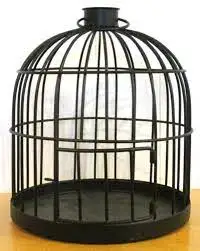 Metal wire Bird Cage Home Decor Hanging Fancy Brass  Birds CAGE