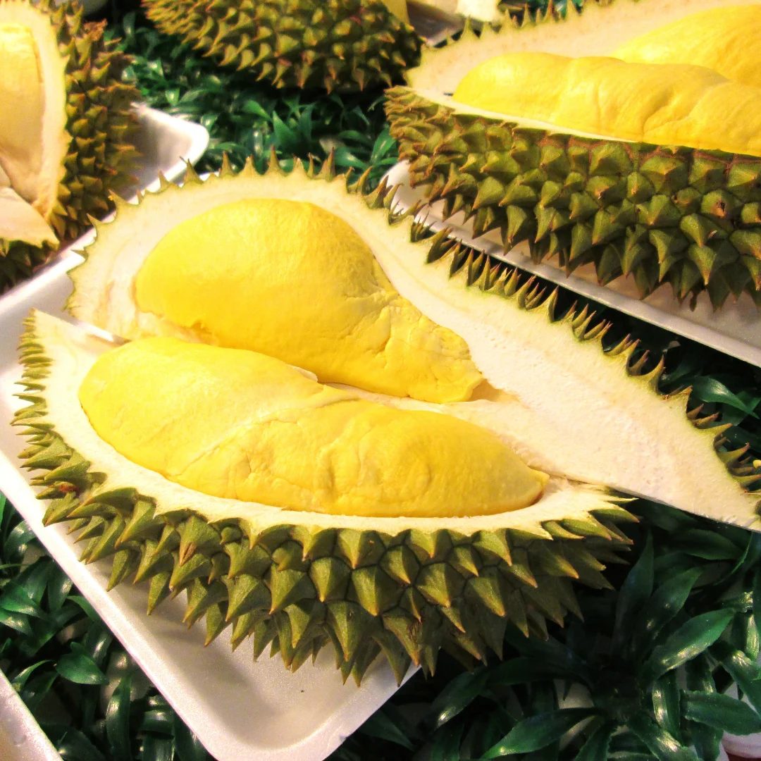 Best Fresh Durian VIETNAM FRESH DURIAN BEST PRICE 100% HIGH QUALITY Yellow Tropical Sweet Durian
