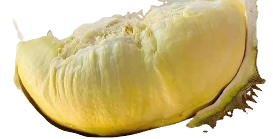 Wholesale Price Vietnam Monthong Ri6 WHOLE IQF Premium Quality Sweet Carton Frozen Durian for export