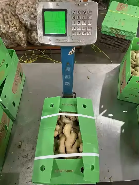 Высокое качество свежий имбирь толстый нарезанный оптовая цена продукт категории