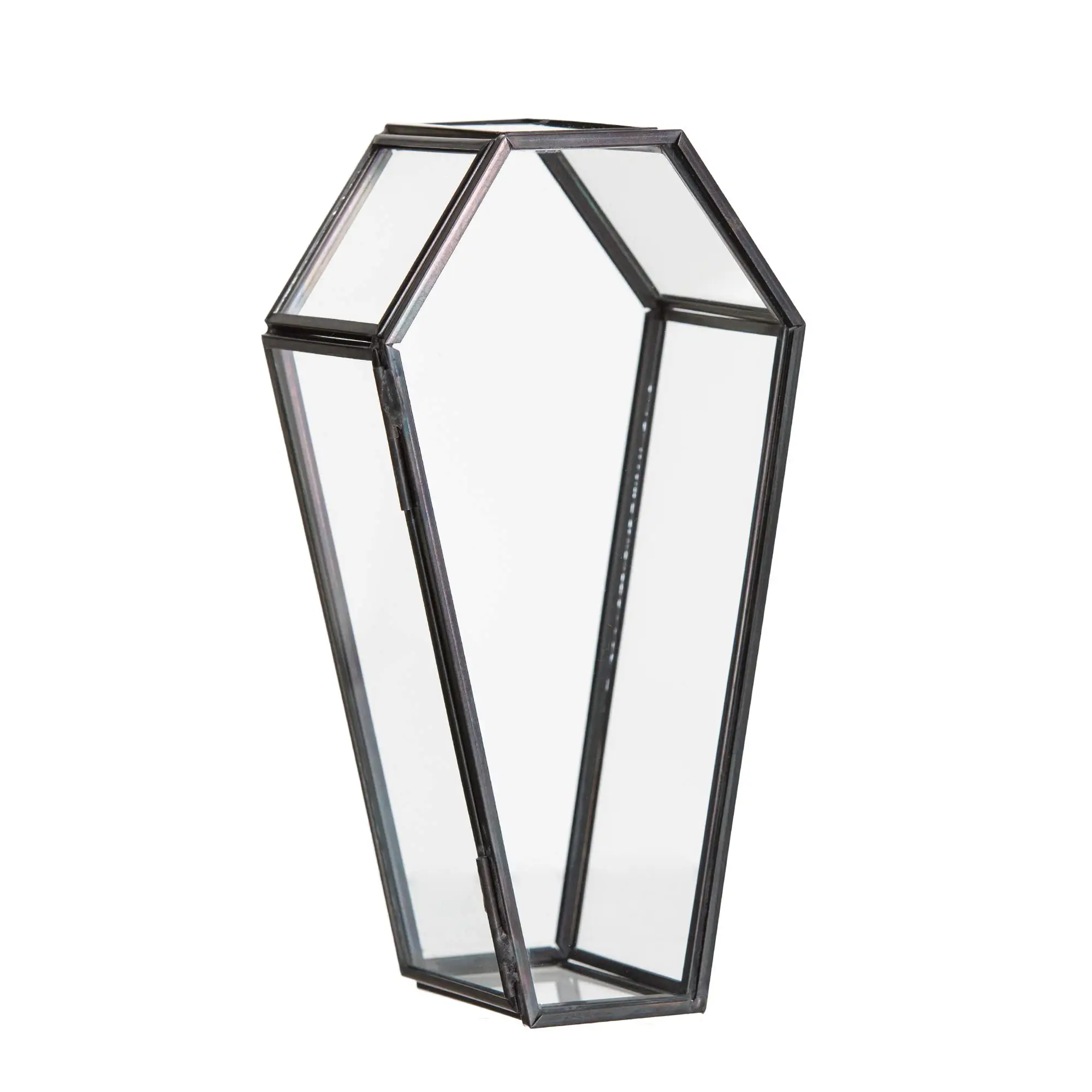 new design jewelry storage organizer metal glass coffin shaped packaging box big luxury coffin bracelet box