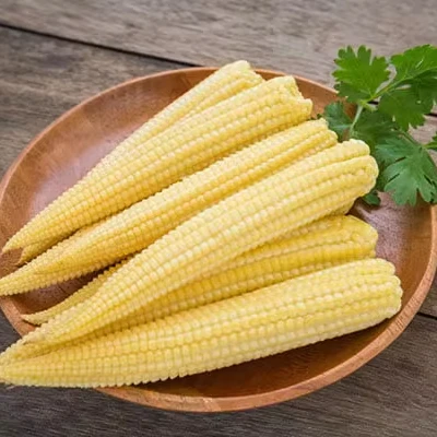 BEST QUALITY BABY CORN CAN FROM VIETNAM!!! SUPER FRESH CORN 100% NATURAL GOOD FOOD FOR YOU