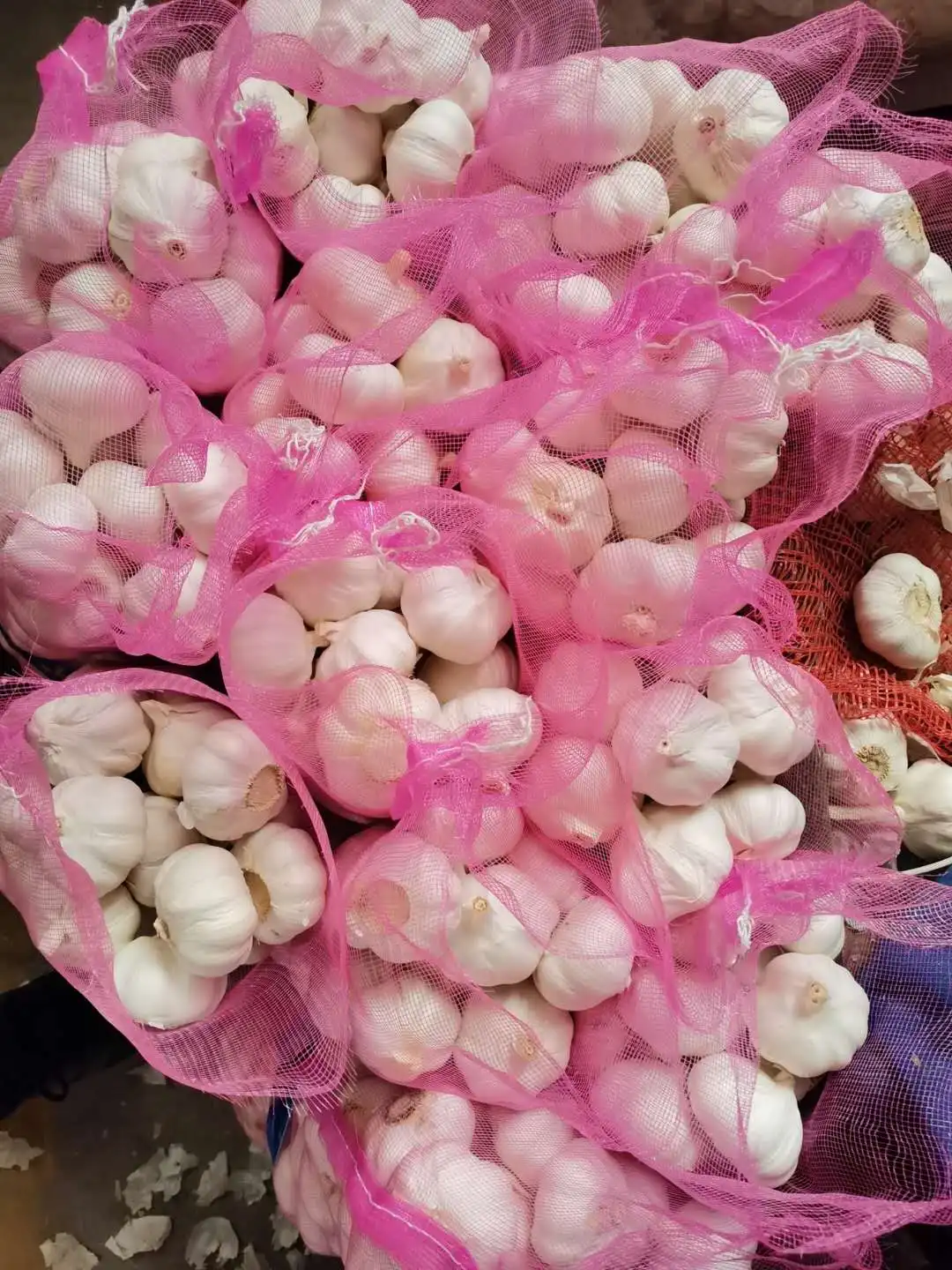 fresh pure /normal white garlic for export mesh bag