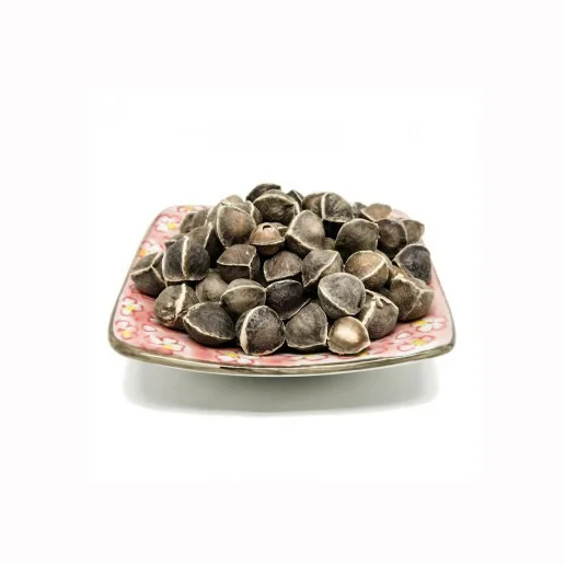 Premium Herbs and Plants Moringa Moringa Oleifera- Seed