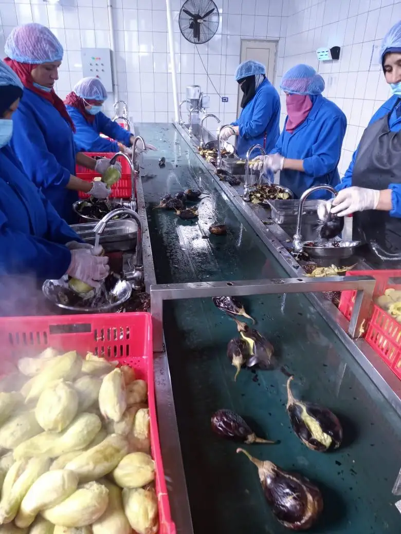 Вкусный естественный вкус свежего жареного баклажана