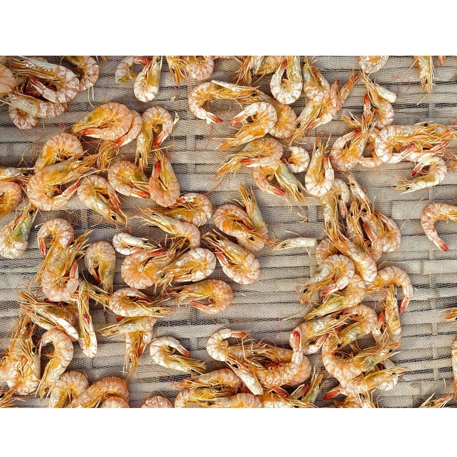 Seafood Certificated Good Quality Wholesale Flavored 5 months Shelf Life Best Price Vacuum Pack Vietnam OEM Dried Shrimp