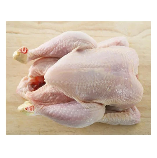 Whole Chicken Frozen / Halal Chicken Feet / Frozen Chicken Paws Brazil
