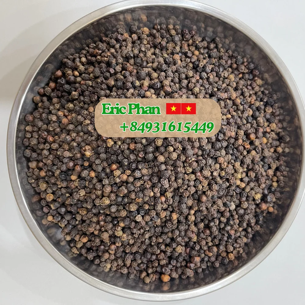 Black pepper Wholesaler of 500G/L 550G/L 5MM  600G/L FAQ Machine Clean & White Pepper Grade 1 Single Spices & Herbs VIETNAM