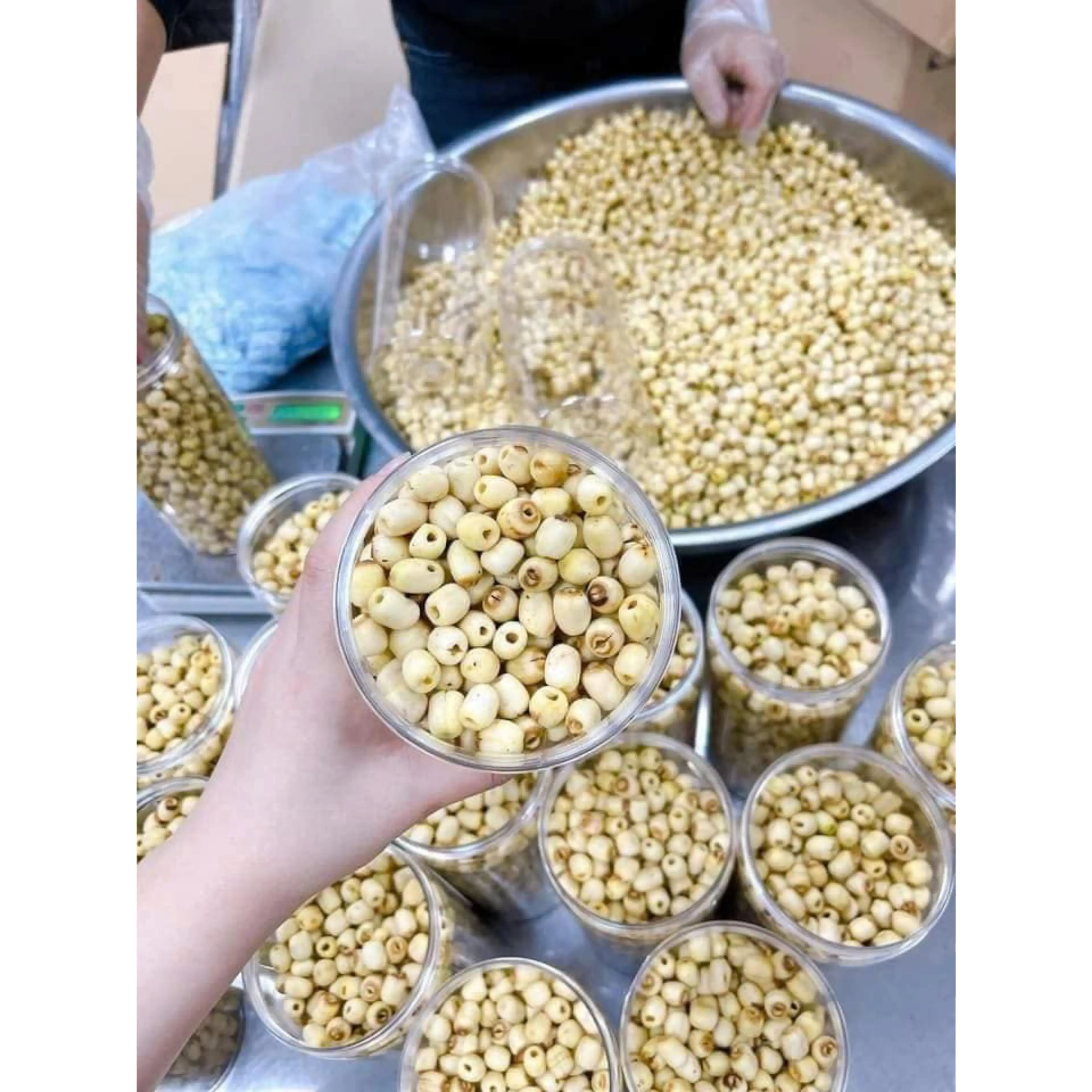 Premium Dried Lotus Seed Snacks from Vietnam Healthy Ready To Eat Vietnam Origin/ LOTUS SEEDS +84 783 612 648 Jasmine