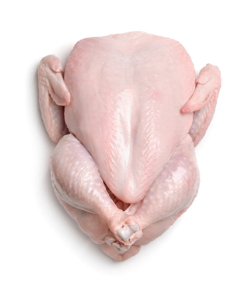 Wholesale Frozen Chicken Organic Halal Best Quality