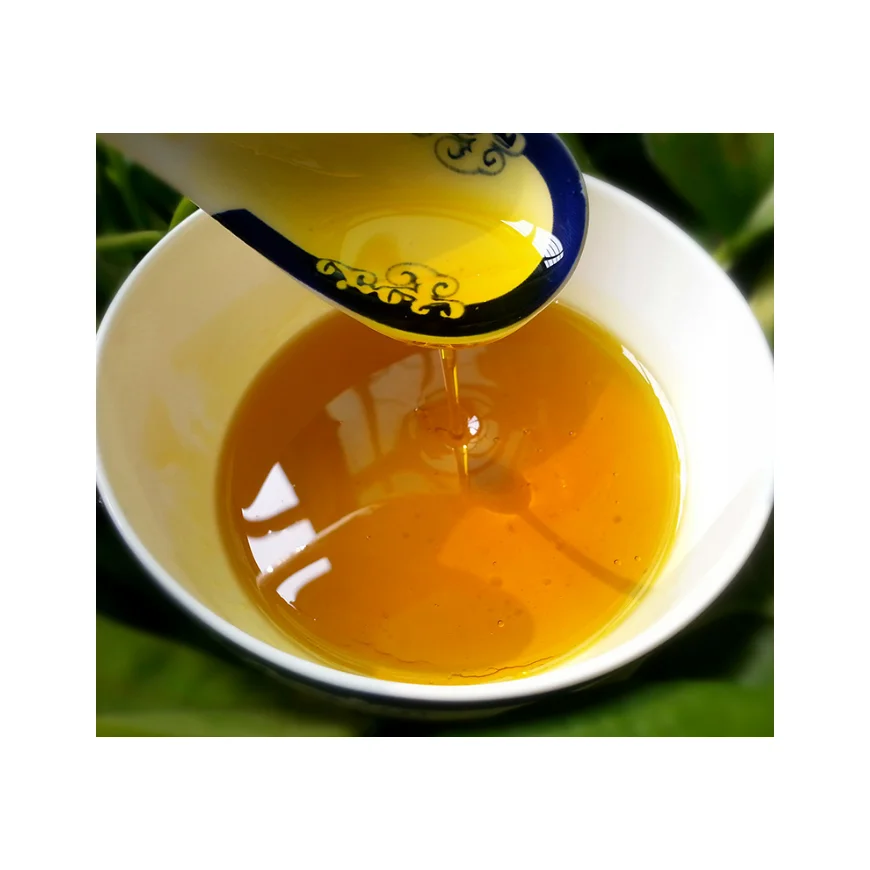 Crude Rapeseed oil Certified Organic 100 % Pure Refined Rapeseed Oil