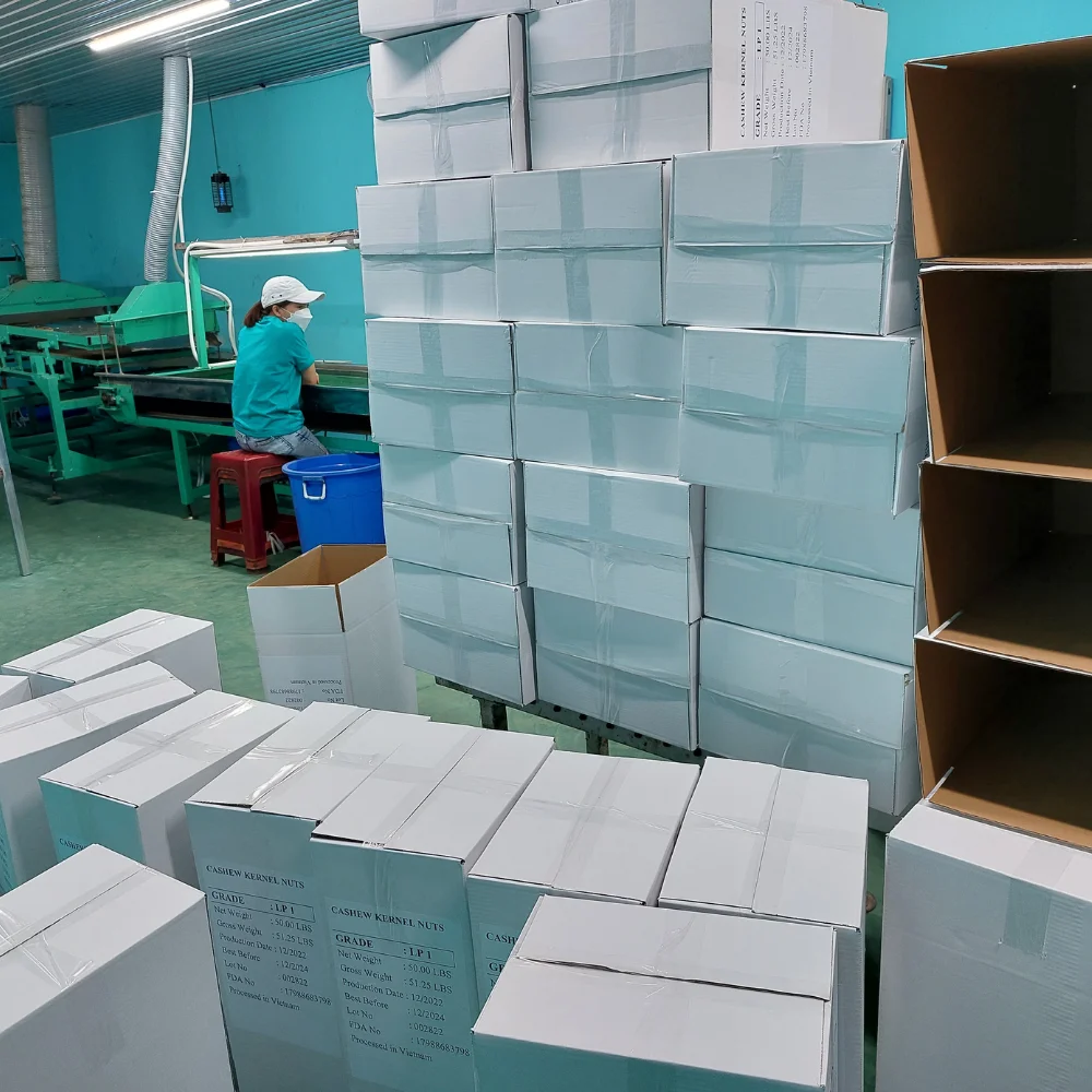 Trusted Factory Cashew Nuts W320 W240 Cashew Nuts Cashew Nuts  Customized Packing