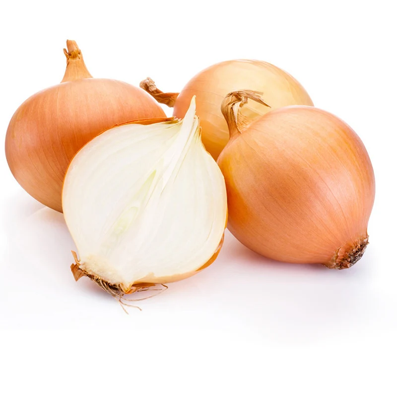 Свежий лук Золотой желтый стиль