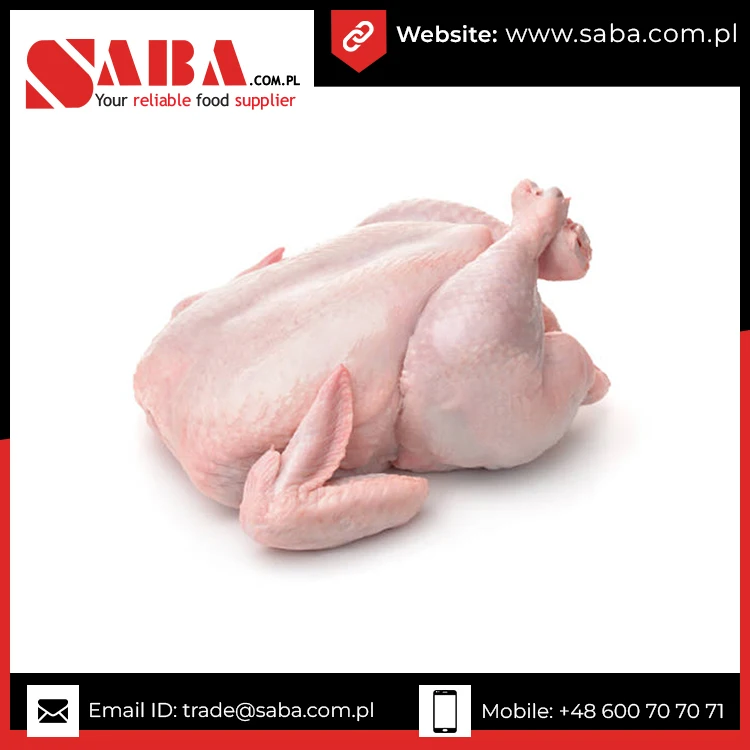 Best Quality Halal Chicken Frozen Breaded Chicken For Sale