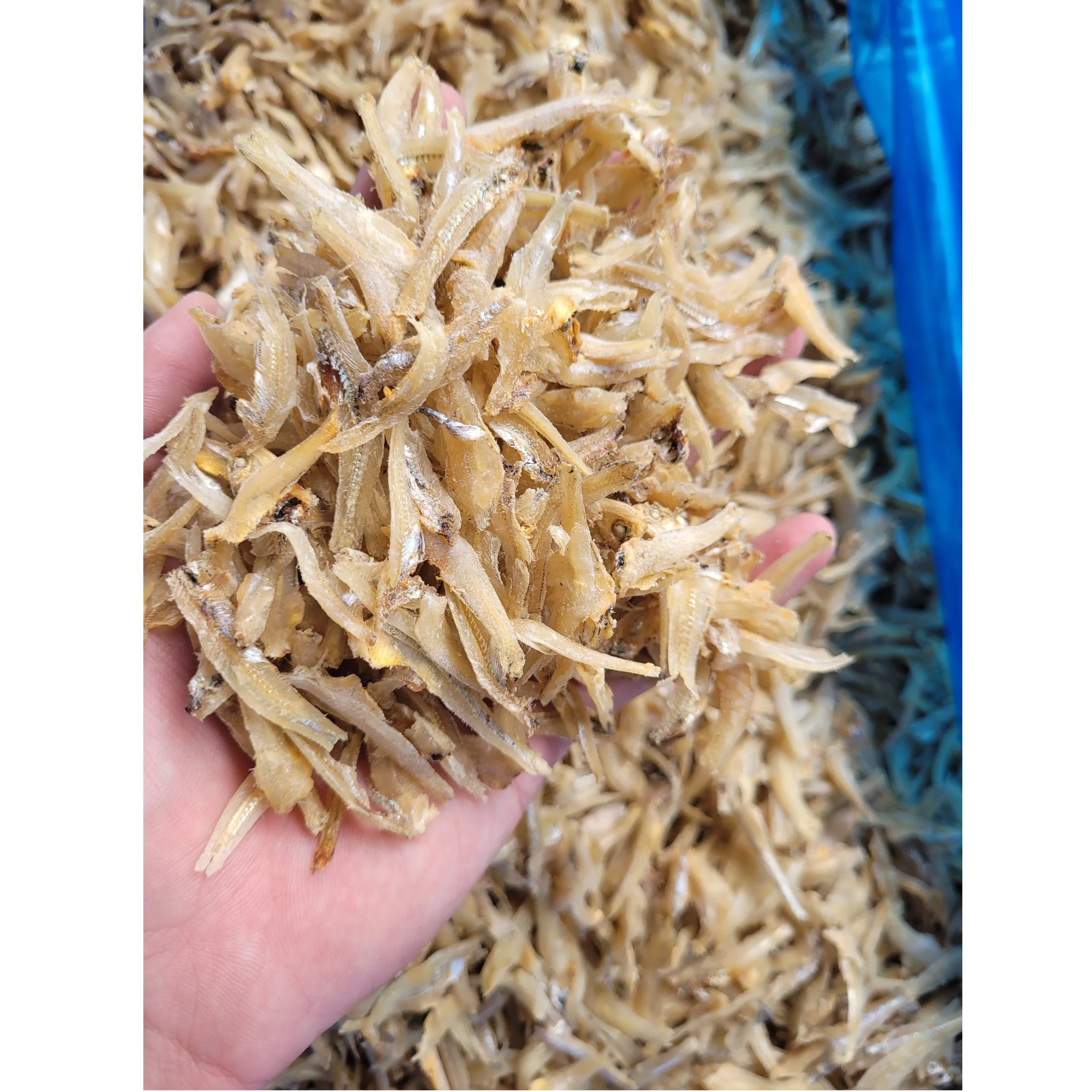 Piece Shape Bulk 100% Fresh Small Size Natural Colors Frozen storage Shredded White Dried Anchovy With 24 months Shelf Life