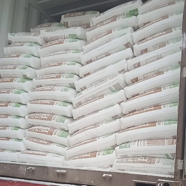 High Quality Plaster Gypsum Powder Egyptian  Origin Gypsum Powder Plaster Of Paris  packaging 20&25&40 kg pp bag