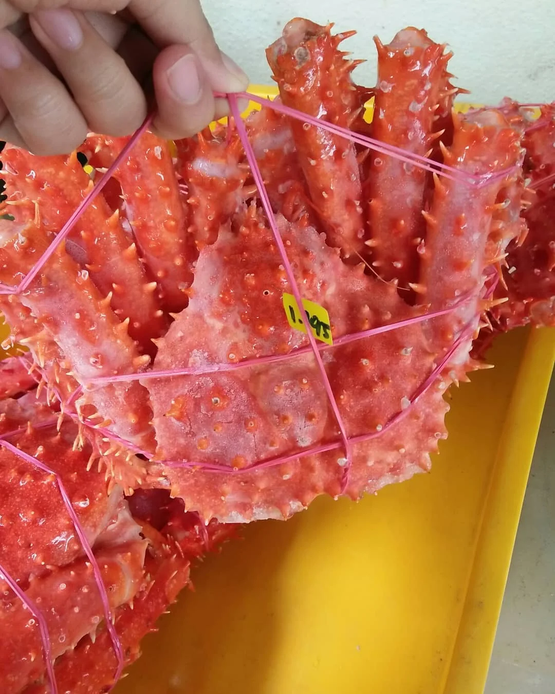 Frozen King Crab .jpg