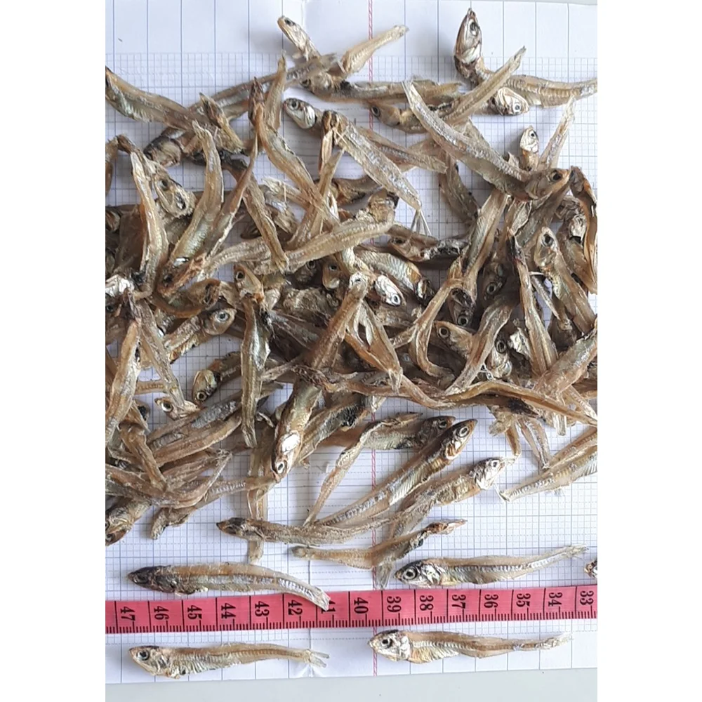 Dried Anchovy Fish Dried Anchovies Packaging Organic Different Size Weight Customizable For Export In Bulk